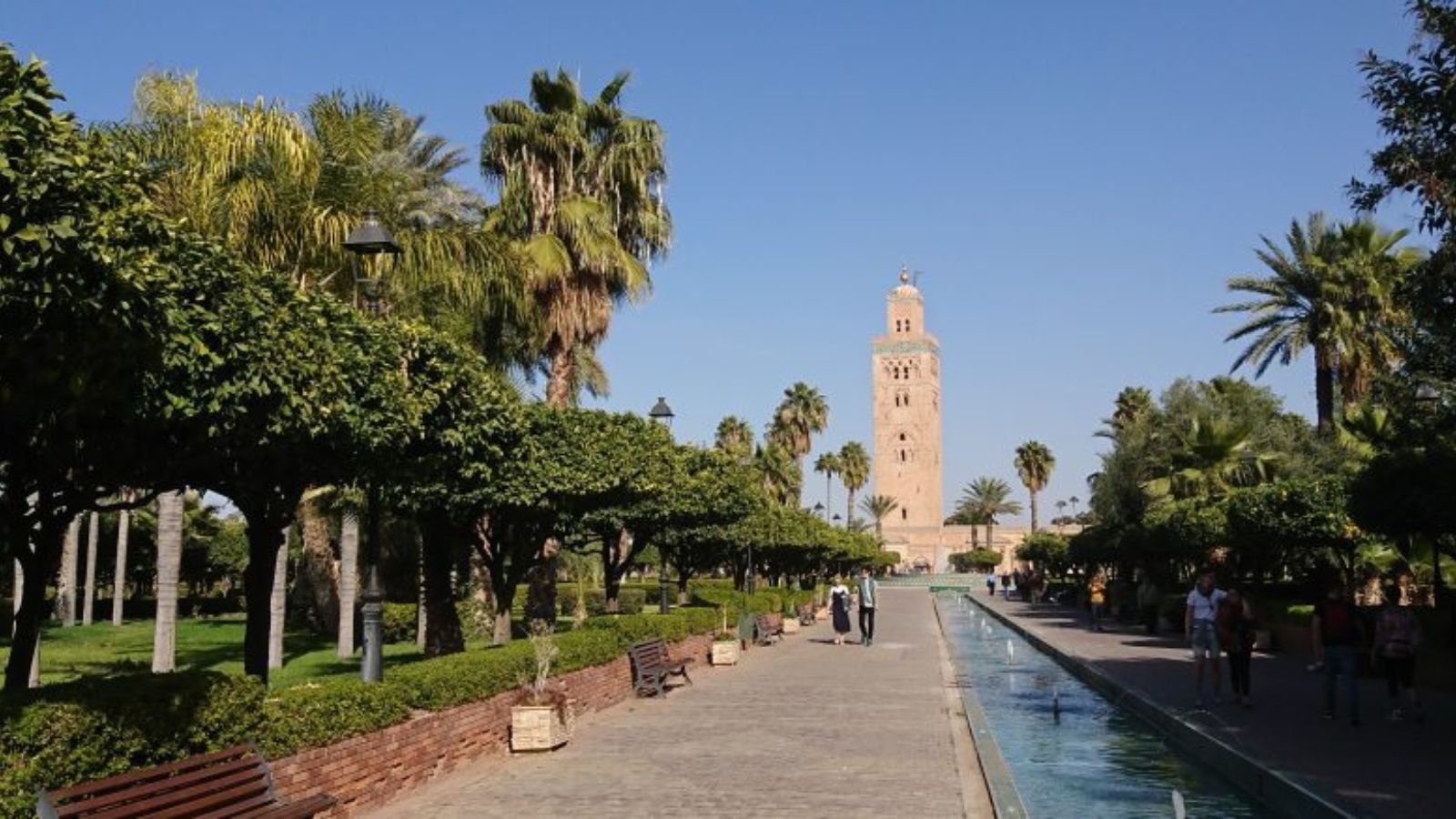 Top Oases in Morocco: Hidden Green Paradises