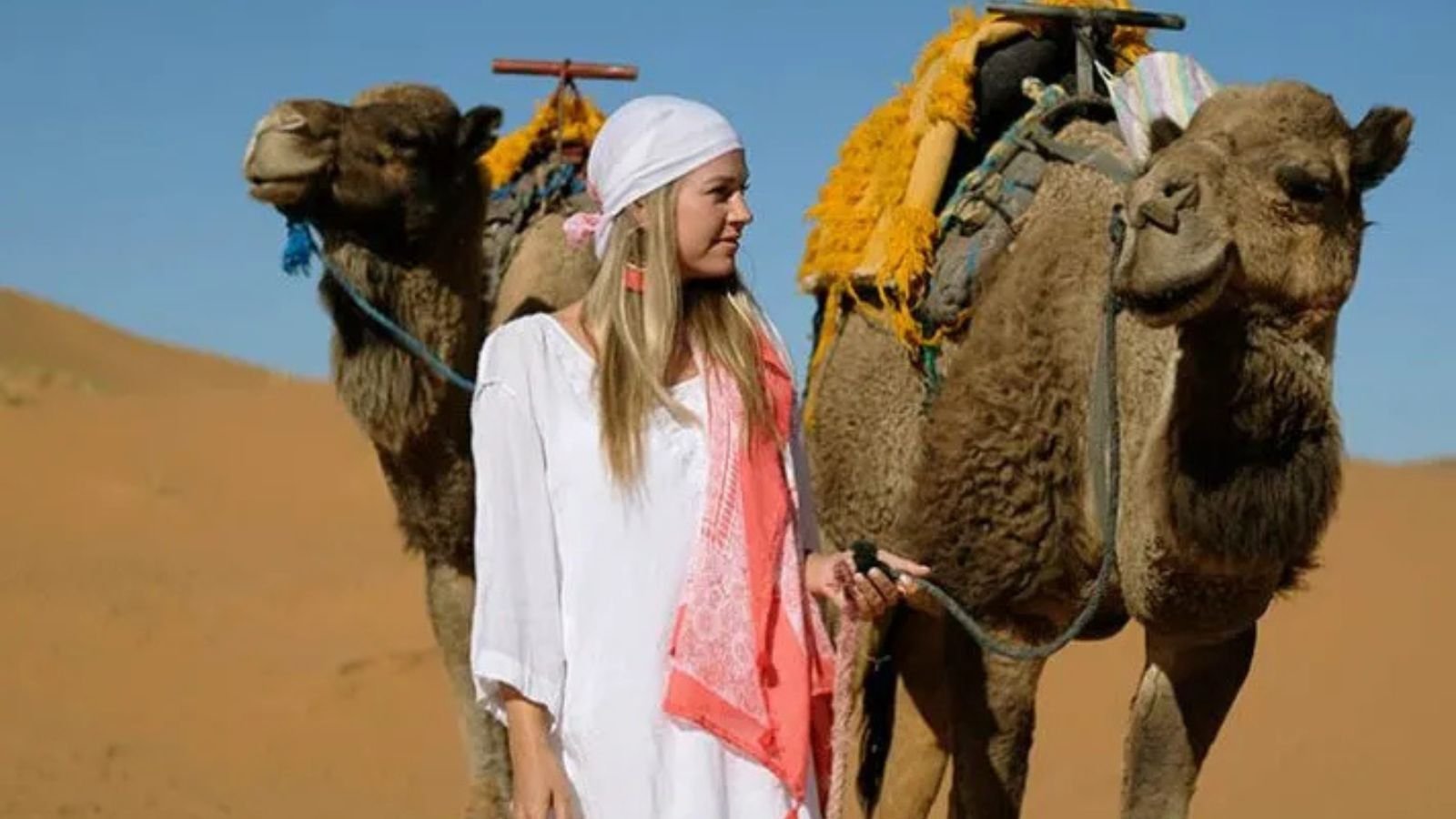Travel Advisor for Morocco: Your Friendly Guide to a Magical North African Adventure