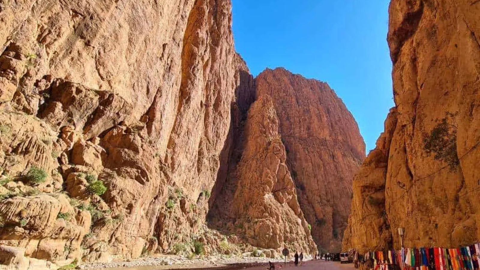 Todra River: Morocco’s Hidden Gem Flowing Through Towering Canyons