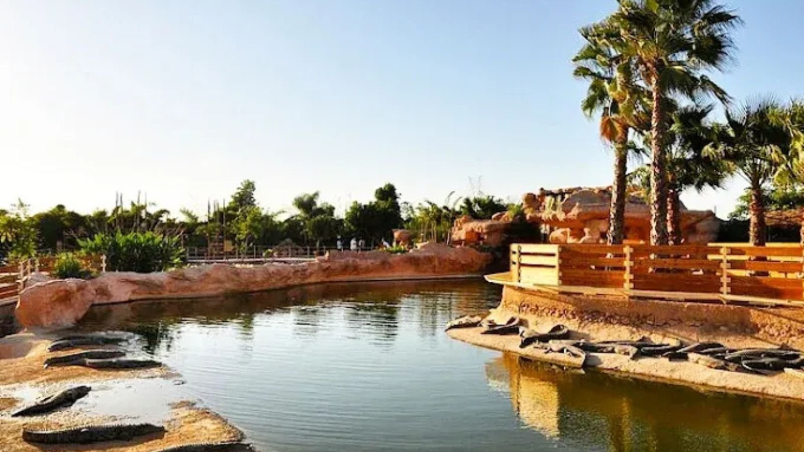 🏛️ Timeless Wonders: Top 5 Tourist Attractions in Morocco You Must Explore