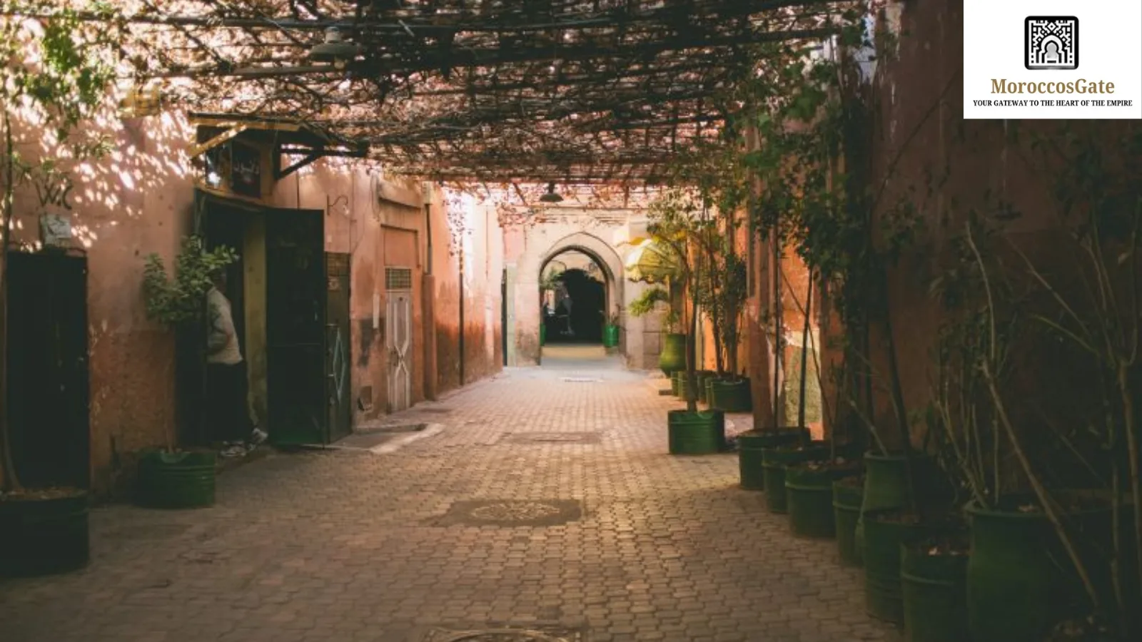 Haggling and Shopping Smart, Discover Morocco on a Budget