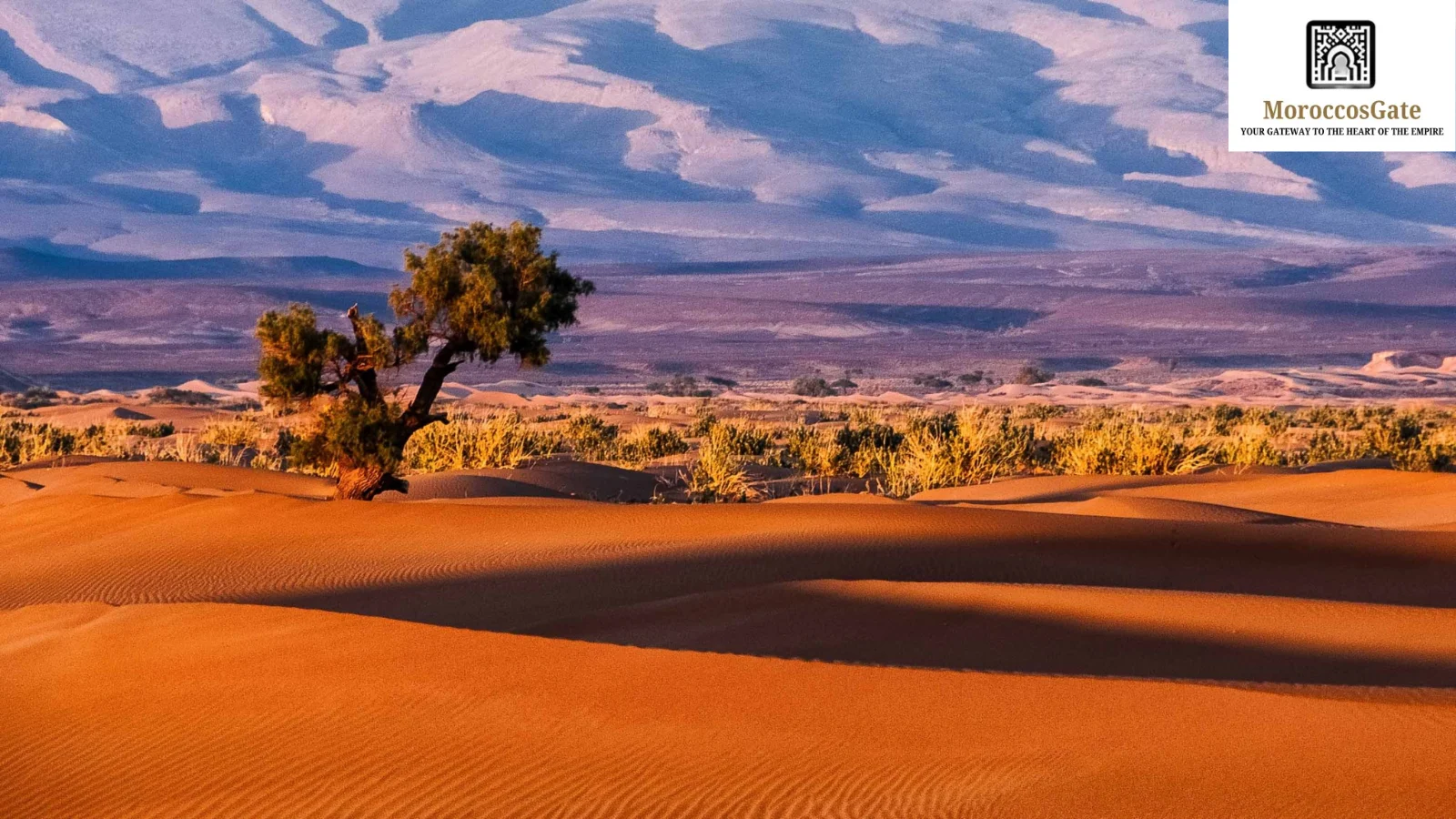 Morocco’s Cinematic Legacy