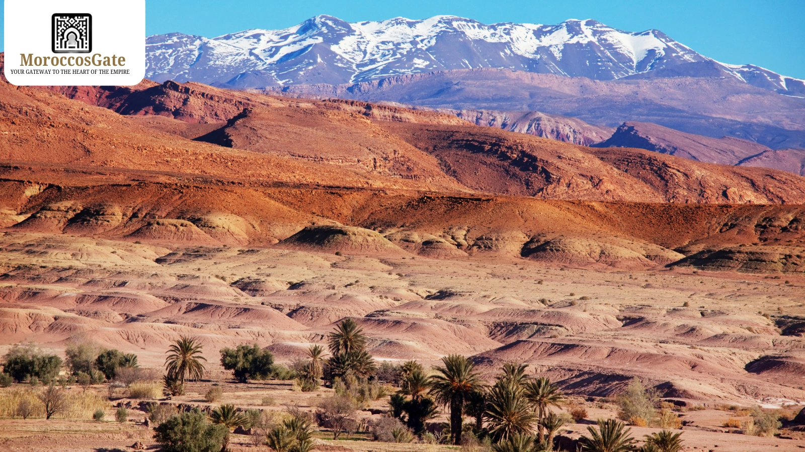 Top 8 Outdoor Adventures in Morocco