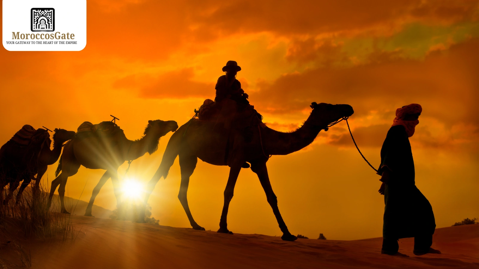 Top 8 Outdoor Adventures in Morocco