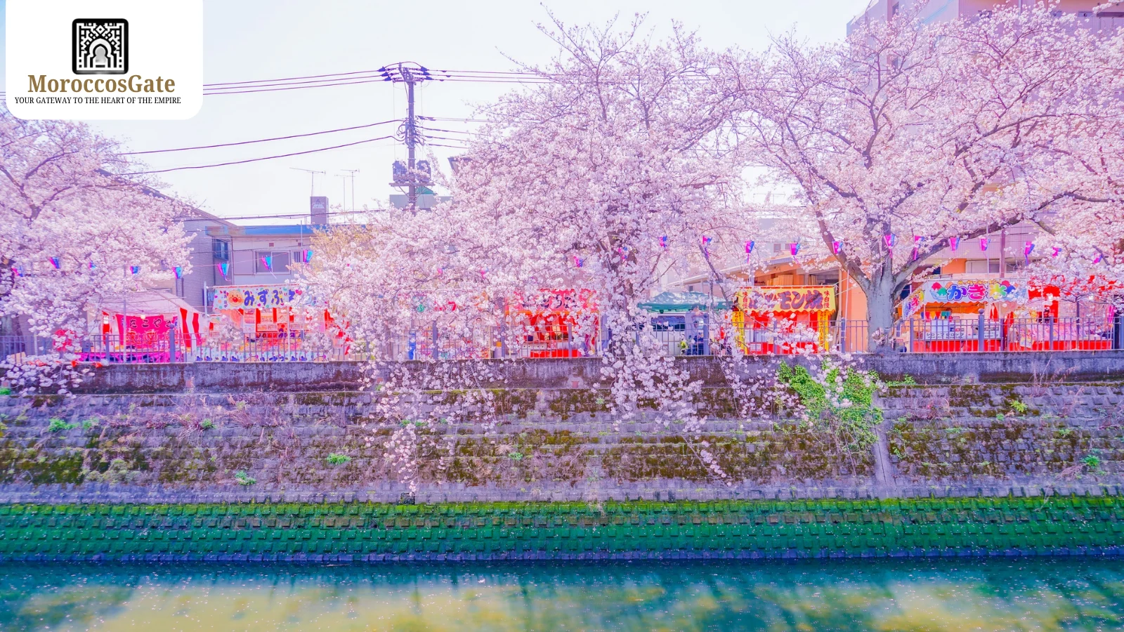 Festivals in Morocco November