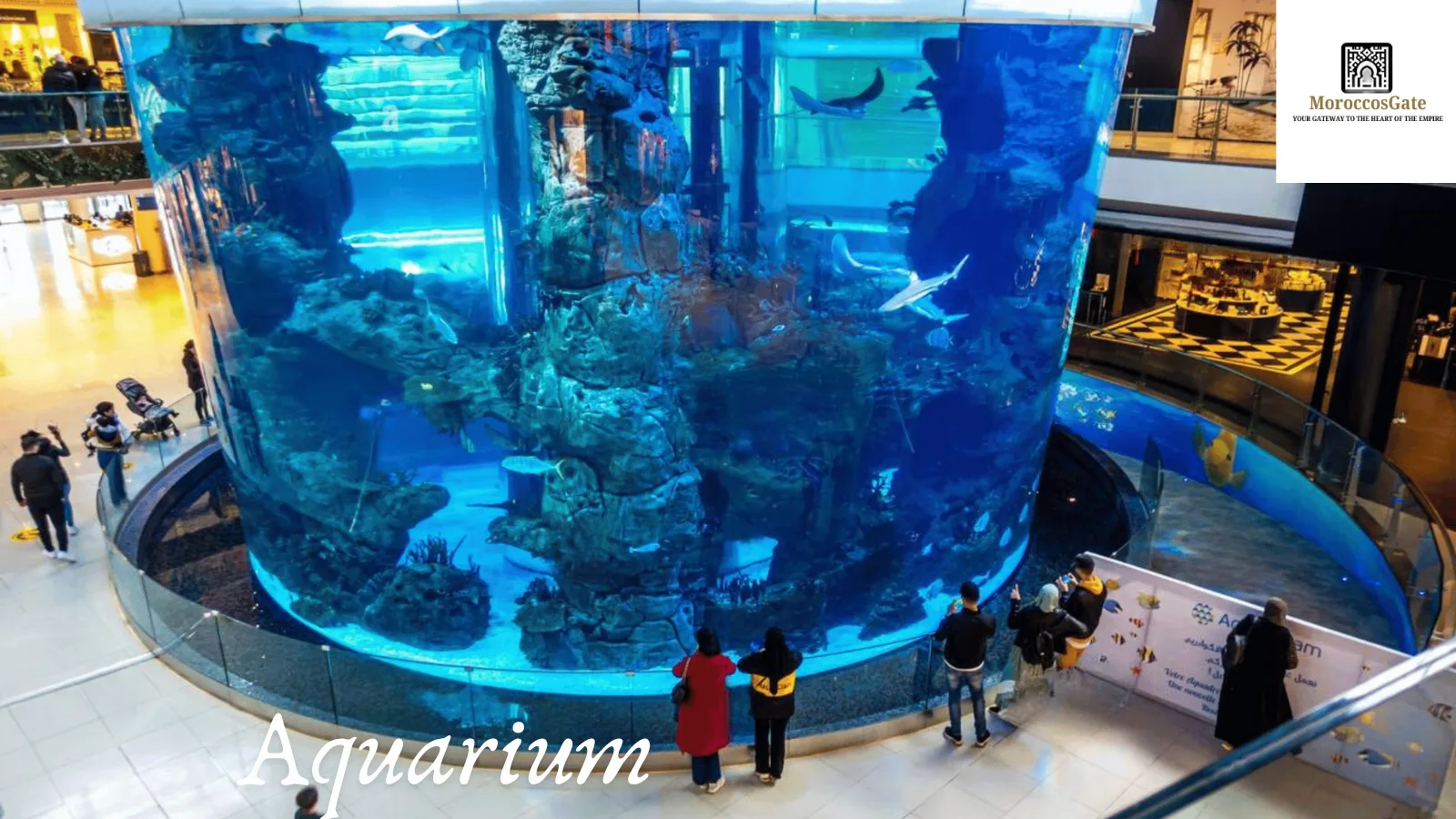 Activities at Morocco Mall