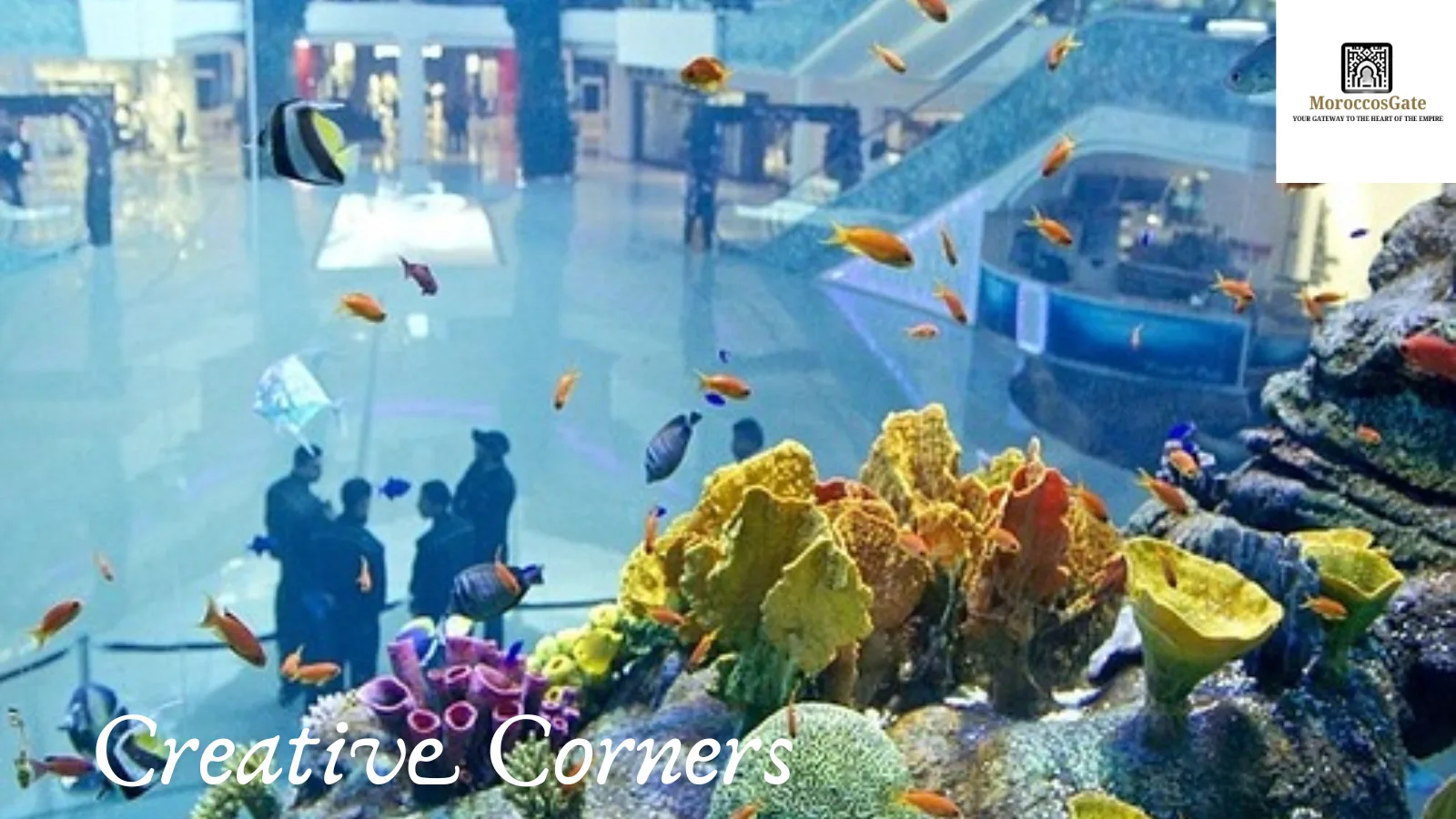 Activities at Morocco Mall