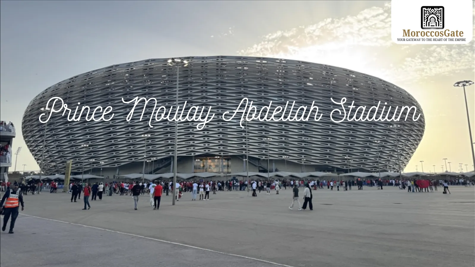 Africa Cup Of Nations