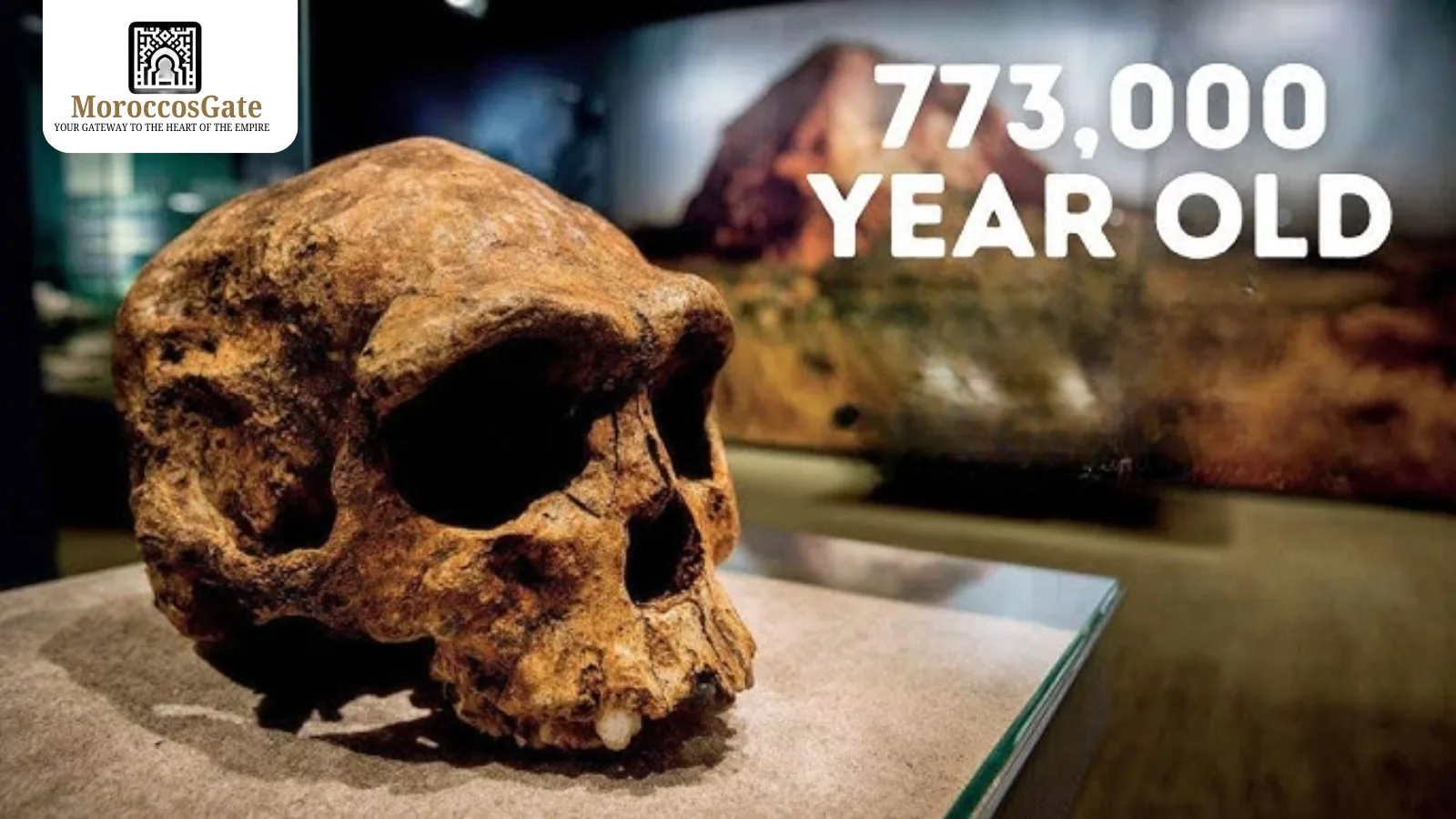 Grotte à Hominidés