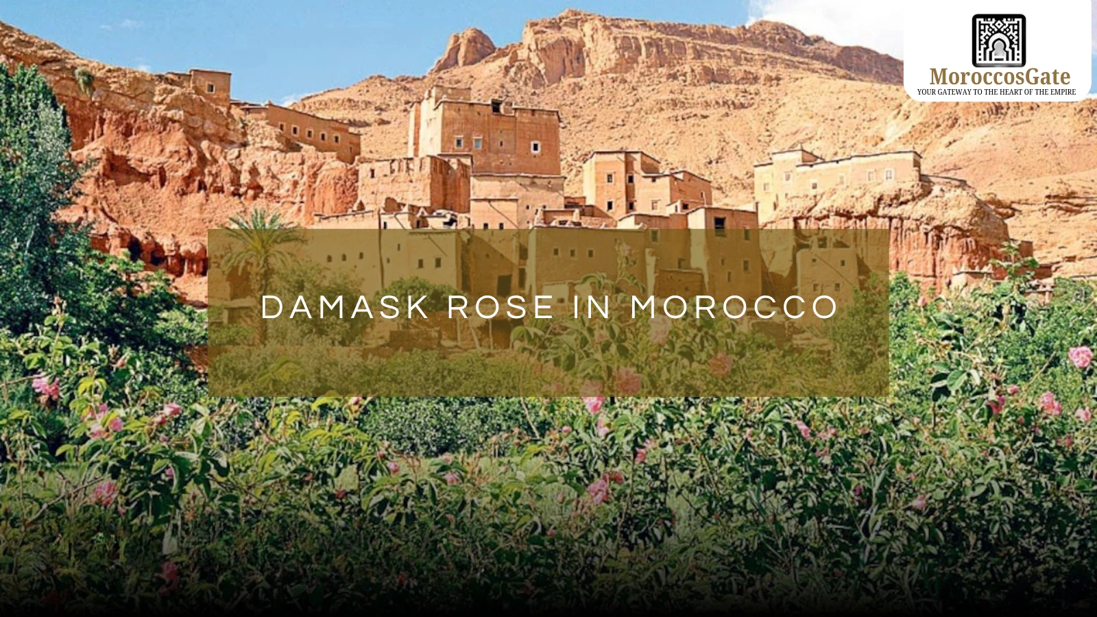 Morocco Rose Festival 2026
