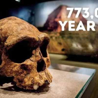 Grotte à Hominidés