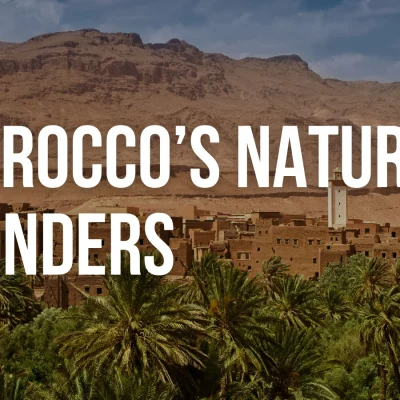 Where nature's artistry meets the horizon.